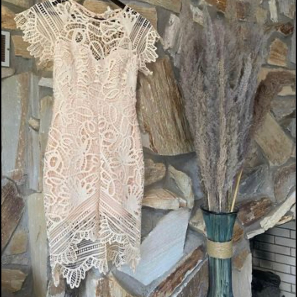 Light pink crochet overlay dress